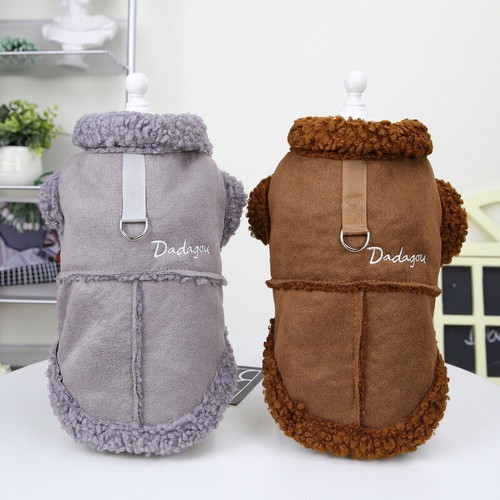 Dog coat winter - dog, chihuahua