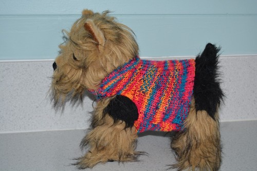 Hand knitted dog - knitted,
