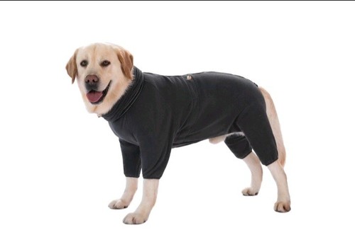 103 dog clothing pet - clothing,pet, winter