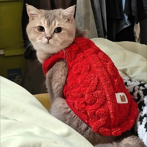Pet dog cat fleece sweater - dog,