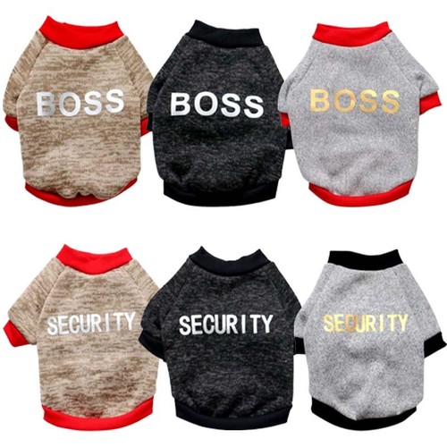 Security boss dog - dog, jumper
