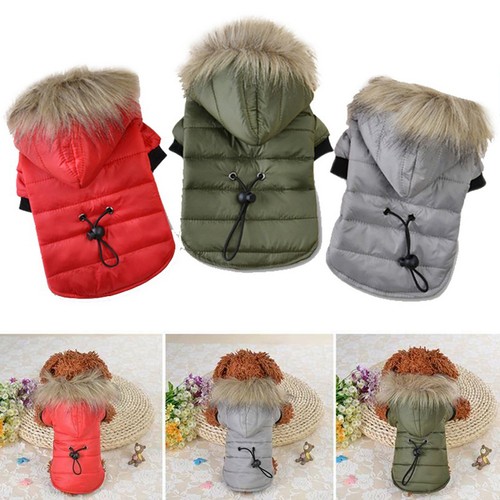Warm padded dog - padded, jacket