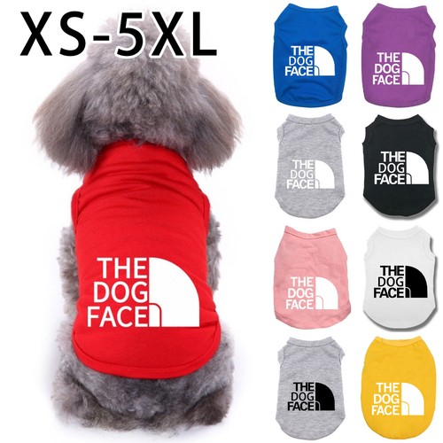 The dog face summer pet - face,