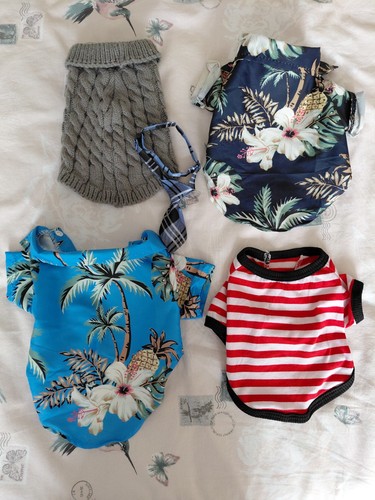 Dog clothes bundle for small - dog,