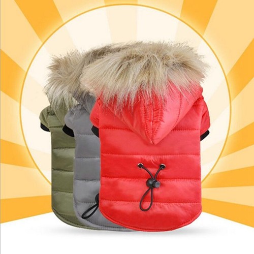 Winter dog coats pet - winter,