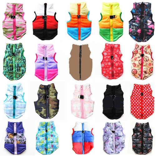 Clothes for pet - clothes,
