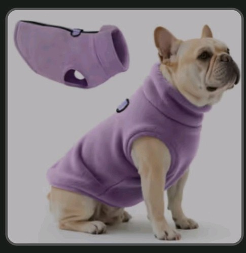 Oslueidy dog warm - dog,