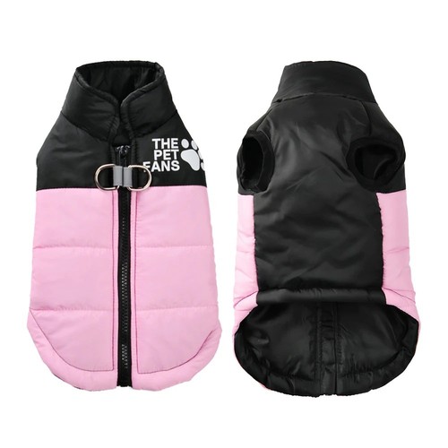Warm winter dog - winter, jacket