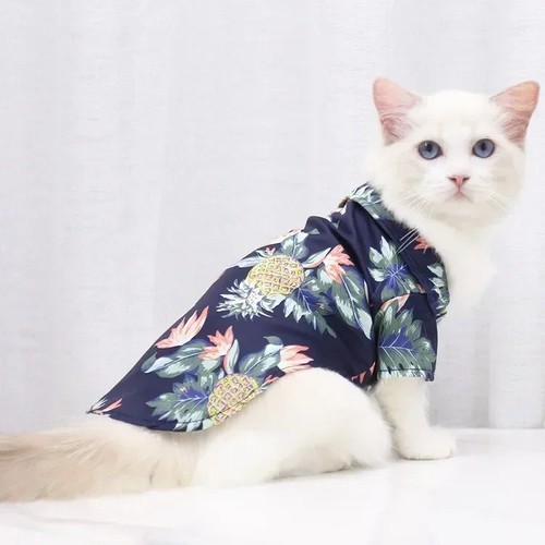 Cute pet dog cat clothes - pet,