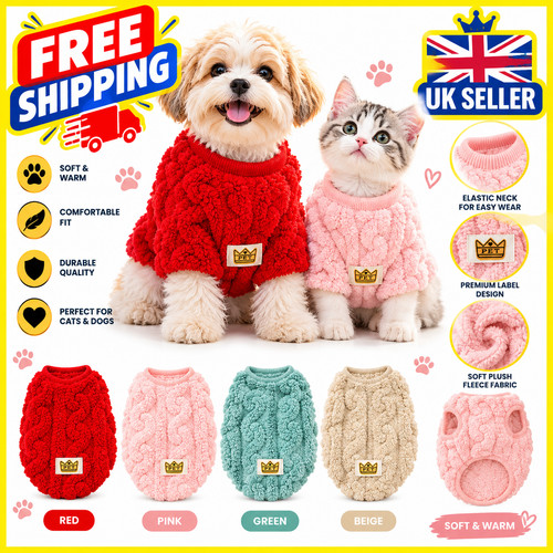 Pet dog cat - pet,