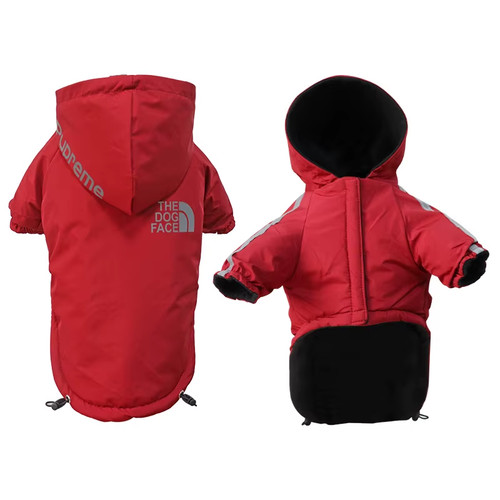 Autumn winter warm - autumn,