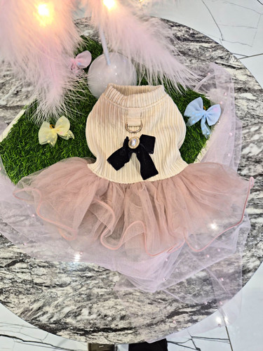 Cute dog dress - dog, beige