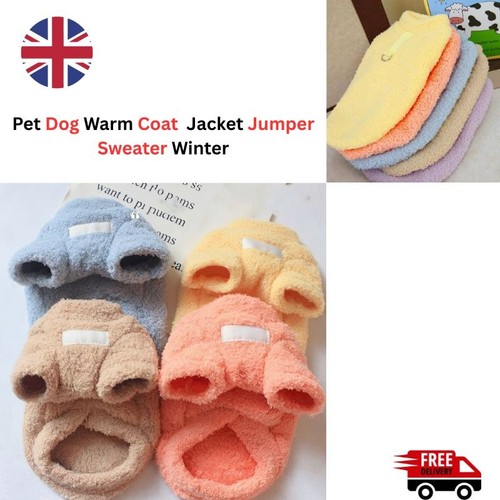 Pet dog warm - dog,