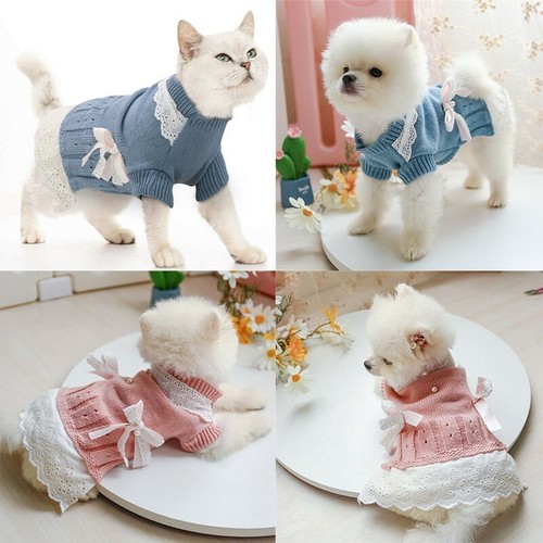 Pet cat puppy coat - cat, classic