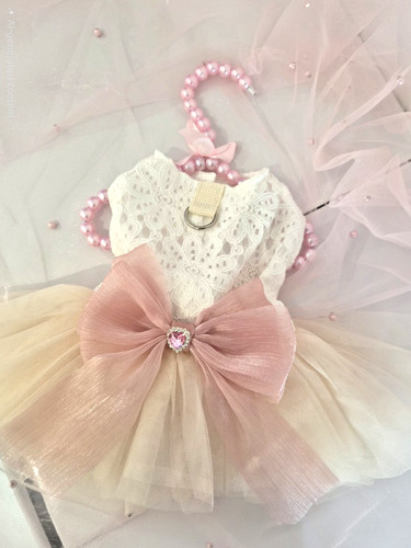 Small dog dress - dog,