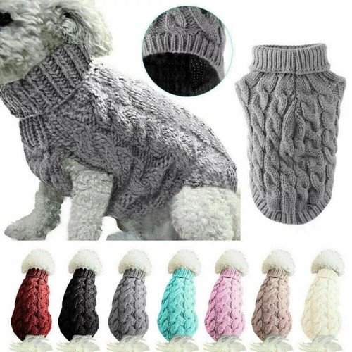 Hot puppy dog - dog, winter
