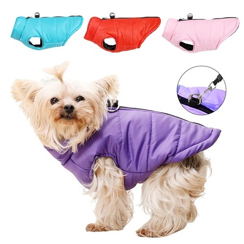 Winter warm dog - warm, jacket