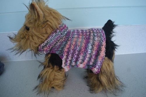 Hand knitted dog coat - hand,