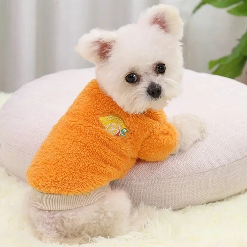 Pet dog clothes - pet, for