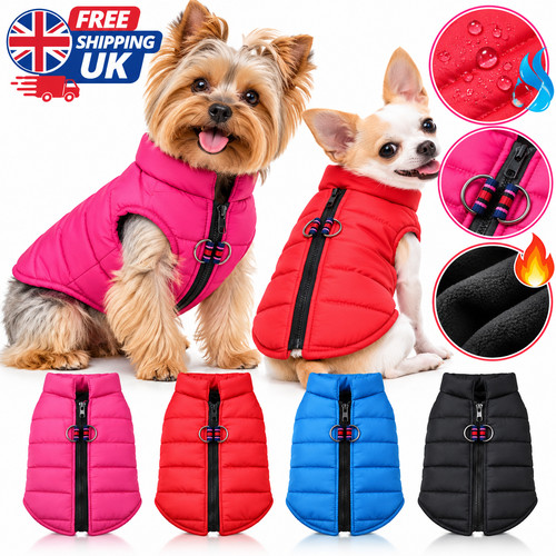 Warm dog coat winter - warm,