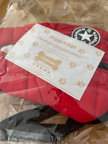 Unworn doggykings red - doggykings, xs