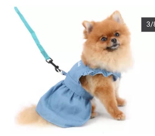 Cute dress for - dogs,