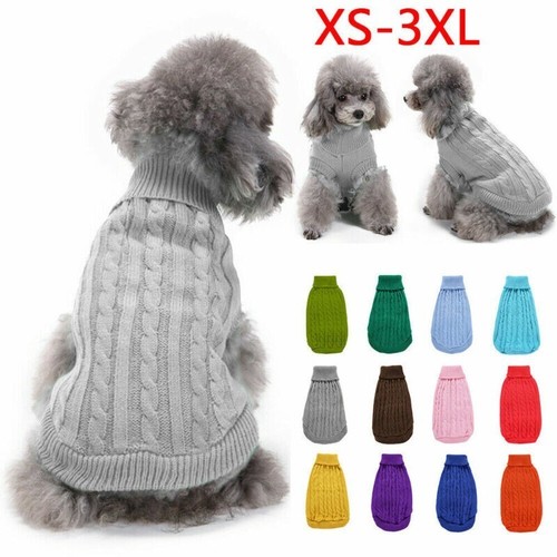 Winter knitted puppy dog - winter,