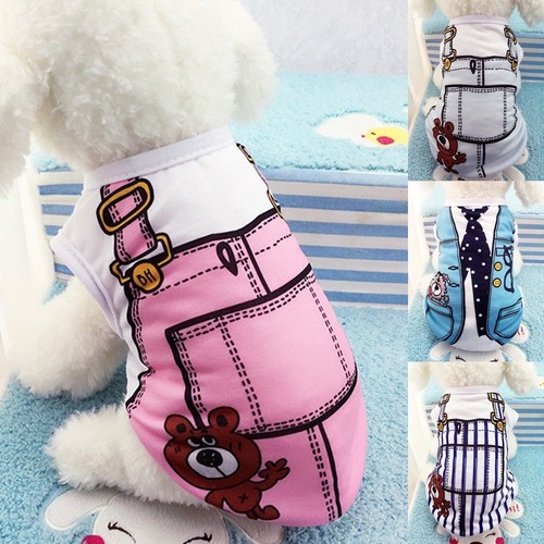 Pet dog cat - dog, coat